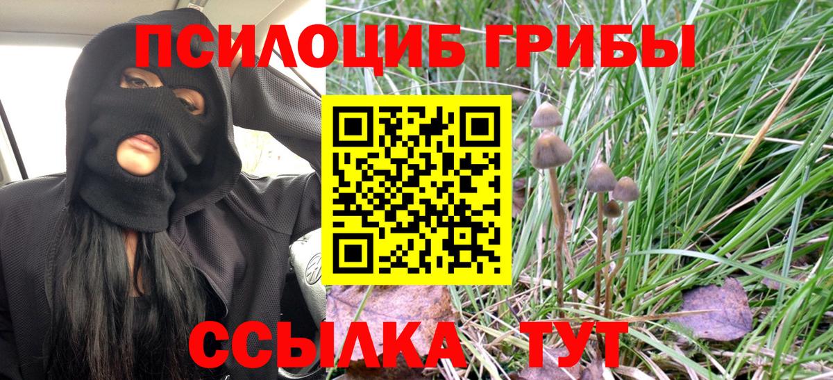 Галлюциногенные грибы ЛСД Ижевск